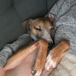 Meet your Posher, Nicky